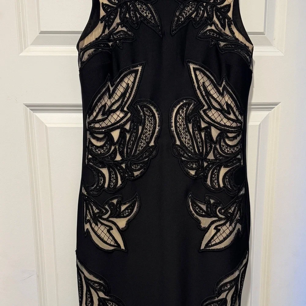 Elegant Black and Beige Dress